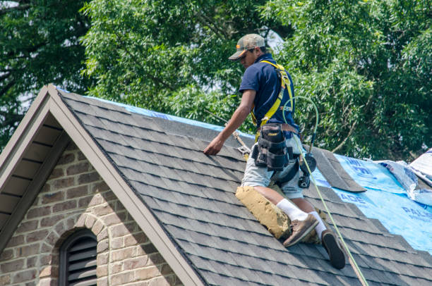 Quick and Trustworthy Emergency Roof Repair Services in Golden Shores, AZ